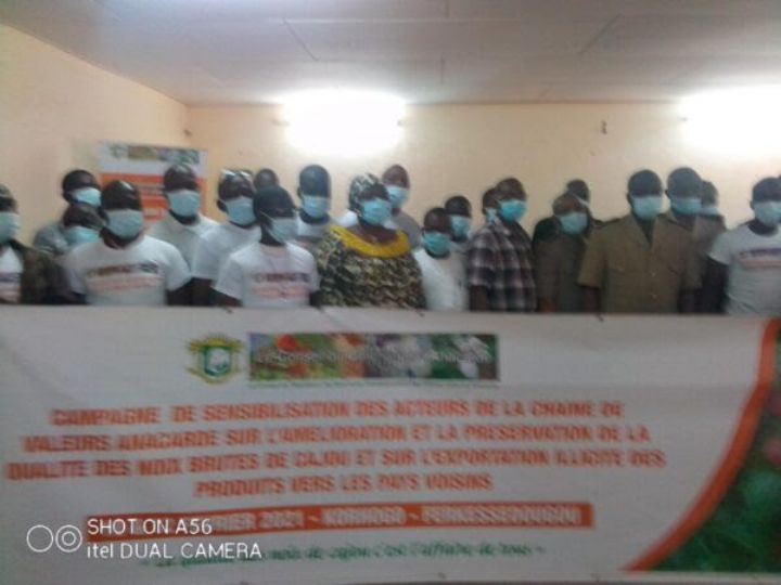 Les producteurs d’anacarde de Ferké sensibilisés sur l’amélioration de la qualité de la noix de cajou